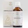 Bálint Cseppek lenmagolaj 100% – 50 ml