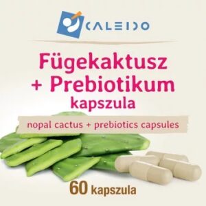 Caleido Fügekaktusz + Prebiotikum kapszula - 60db 3 Caleido Fügekaktusz + Prebiotikum kapszula - 60db - Image 2