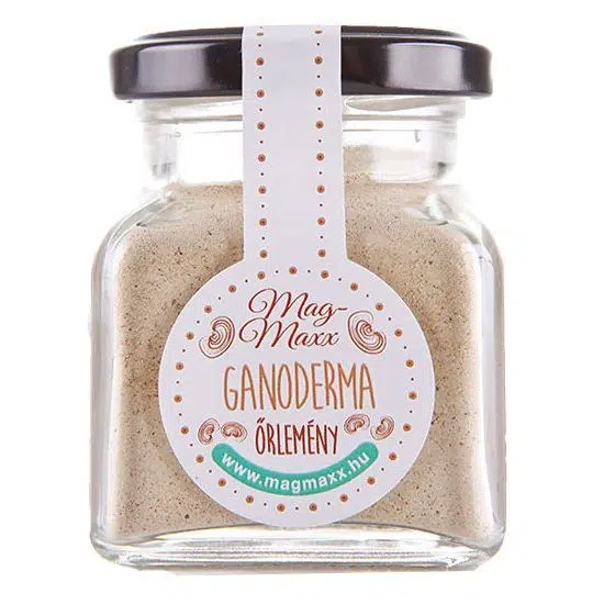 MagMaxx Ganoderma őrlemény - 20g 1 MagMaxx Ganoderma őrlemény - 20g
