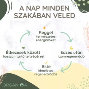 Organiqa 100% bio acai-banán vegán fehérje mix - 400g 7 Organiqa 100% bio acai-banán vegán fehérje mix - 400g - Image 3