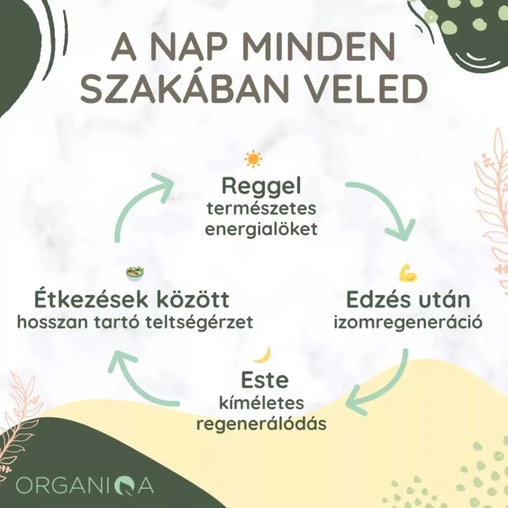 Organiqa 100% bio acai-banán vegán fehérje mix - 400g 3 Organiqa 100% bio acai-banán vegán fehérje mix - 400g - Image 3