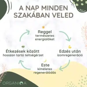 Organiqa 100% bio csokoládé-maca vegán fehérje mix - 400g 8 Organiqa 100% bio csokoládé-maca vegán fehérje mix - 400g - Image 2