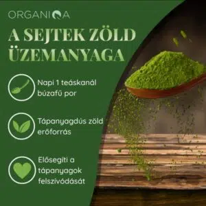 Organiqa Bio Búzafű por - 125g 11 Organiqa Bio Búzafű por - 125g - Image 5
