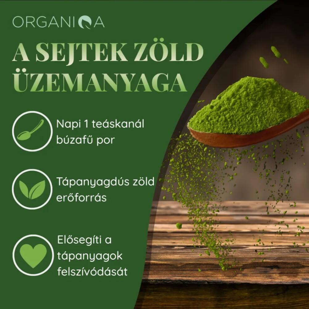 Organiqa Bio Búzafű por - 125g 5 Organiqa Bio Búzafű por - 125g - Image 5
