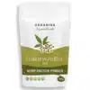 Organiqa Bio Kendermag - Hemp Protein por - 250g