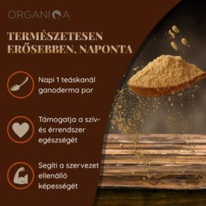 Organiqa Bio Reishi-Ganoderma por - 125g 11 Organiqa Bio Reishi-Ganoderma por - 125g - Image 5
