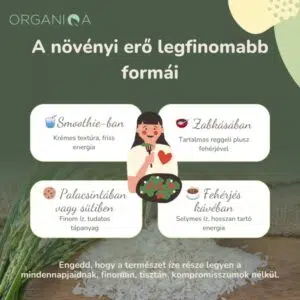Organiqa Bio Rizsfehérje por - 200g 9 Organiqa Bio Rizsfehérje por - 200g - Image 3