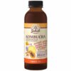 Viva Natura Kombucha koncentrátum Echinacea purpurea kivonattal és C-vitaminnal - 500ml