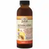 Viva Natura Kombucha koncentrátum Echinacea purpurea kivonattal és C-vitaminnal - 500ml
