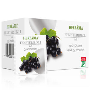 Herbária gyümölcstea feketeribizli - 20 filter