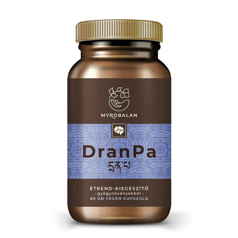Myrobalan DranPa - agyserkentő, memóriajavító kapszula - 60db 1 Myrobalan DranPa - agyserkentő, memóriajavító kapszula - 60db