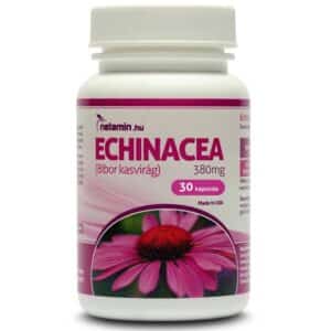 Netamin Echinacea 380 mg tabletta - 30db