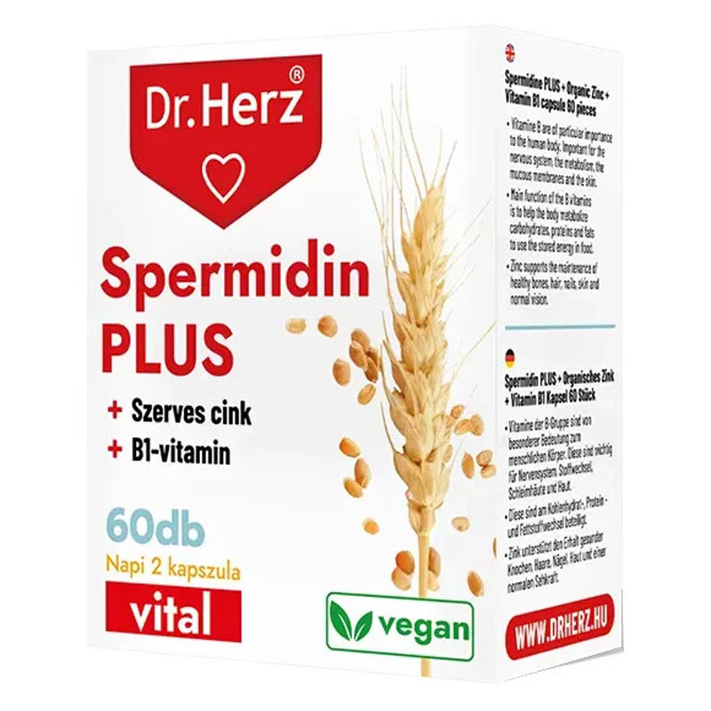 Dr. Herz Spermidin + B1-vitamin + Szerves Cink kapszula - 60db 1 Dr. Herz Spermidin + B1-vitamin + Szerves Cink kapszula - 60db