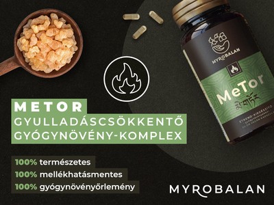 Myrobalan Metor