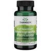 Swanson Full Spectrum Andrographis Paniculata kapszula - 60db
