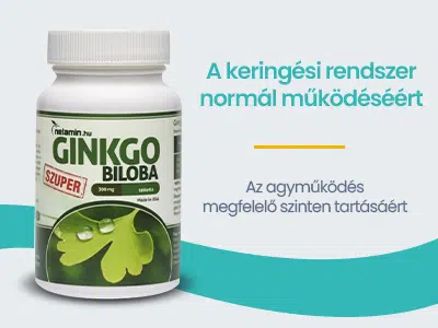 Netamin Ginkgo Biloba 300 mg tabletta (SZUPER kiszerelés) – 60db