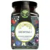 MagMaxx Mental+ gyümölcskristály - 90g