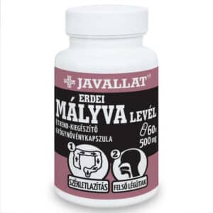 Javallat Erdei mályva