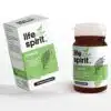 Life Spirit Chaga