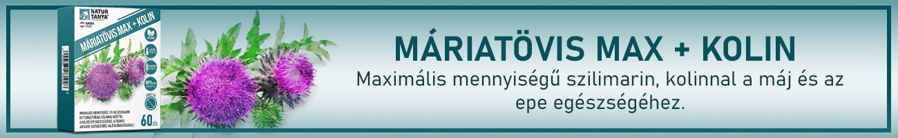 Natur Tanya Máriatövis Max + Kolin tabletta