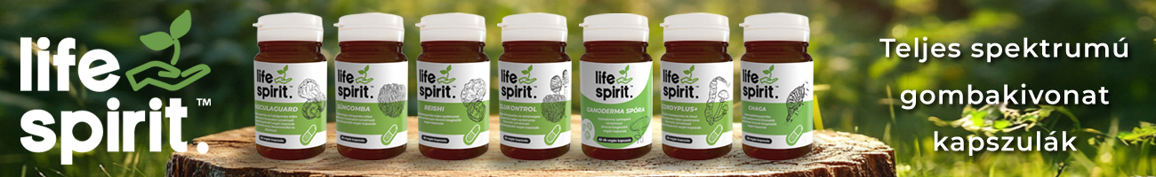 Life Spirit gombakivonat