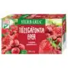 Herbária Tőzegáfonya-Eper tea - 20 filter