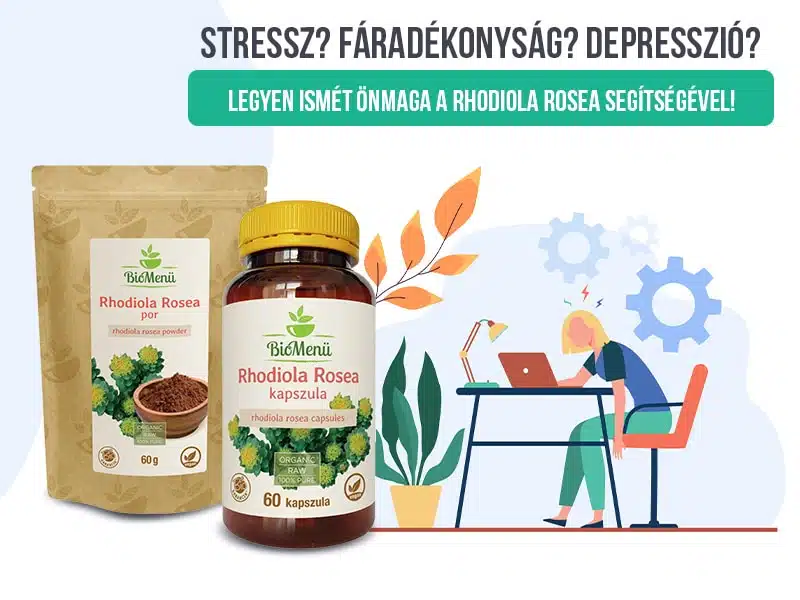 Aranygyökér ereje a stressz leküzdésében Természetes megoldás a mindennapokra 1 Biomenu Rhodiola Rosea
