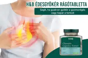 HB Edesgyoker ragotabletta 1000x667