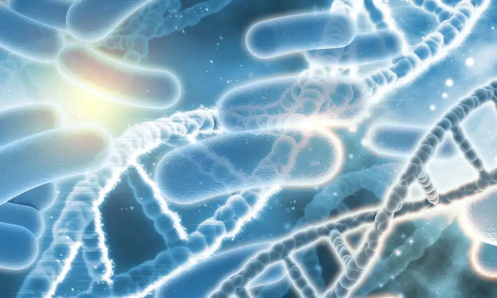 A jótékony mikroorganizmusok ereje: Hogyan támogatják bélrendszered és immunrendszered? 10 Probiotikum