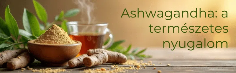 Energiahiány és kimerültség leküzdése természetes módszerekkel 8 ashwagandha