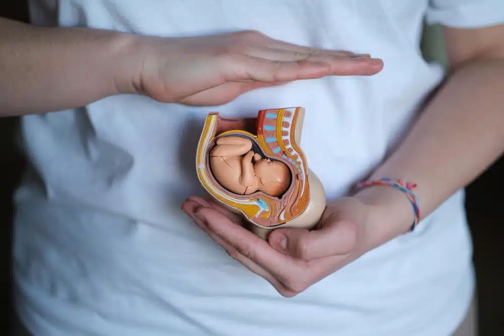 Babatervezés előtt vitamin: Támogatás az első pillanattól Babatervezés előtt vitamin: Támogatás az első pillanattól