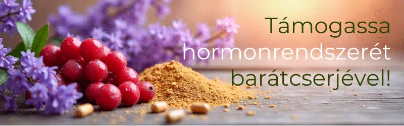 Női hormonális egyensúly természetesen – Segítség a változókor tüneteinek enyhítésére 9 baraÌtcserje