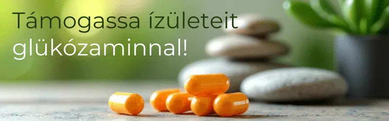 Kattints ide, és segítsd ízületeid regenerálódását glükozamin készítményekkel! Kattints ide, és segítsd ízületeid regenerálódását glükozamin készítményekkel!