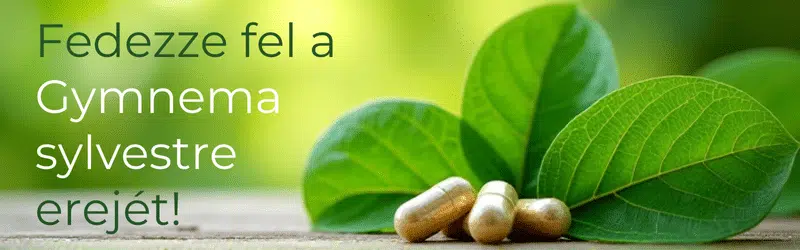 Válasz a természetes fogyókúra kérdéseire: gymnema sylvestre kapszula Válasz a természetes fogyókúra kérdéseire: gymnema sylvestre kapszula