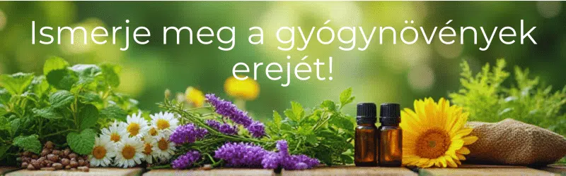 Természetes folyadékegyensúly helyreállítása diuretikus növényekkel 10 gyógynövények, vízhajtó gyógynövények