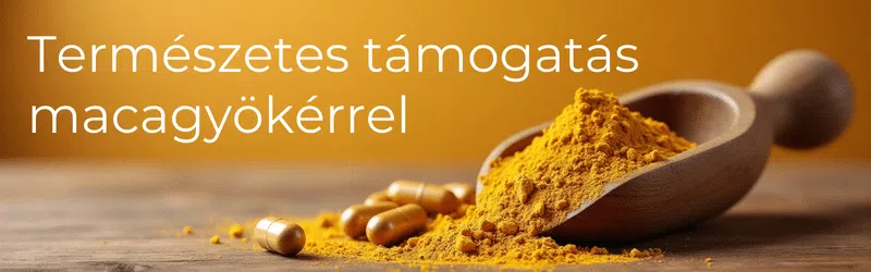 macagyökér