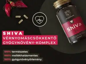 shiva termek banner partner vitaminbolt 800x600