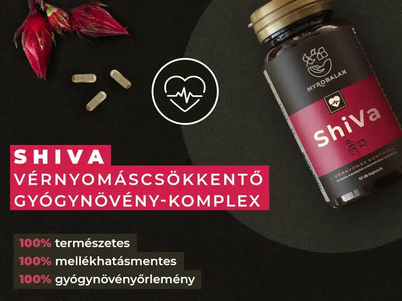 Természetes védelmet nyújtó gyógynövények a vérnyomásproblémákra 1