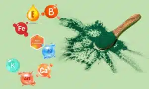 spirulina alga