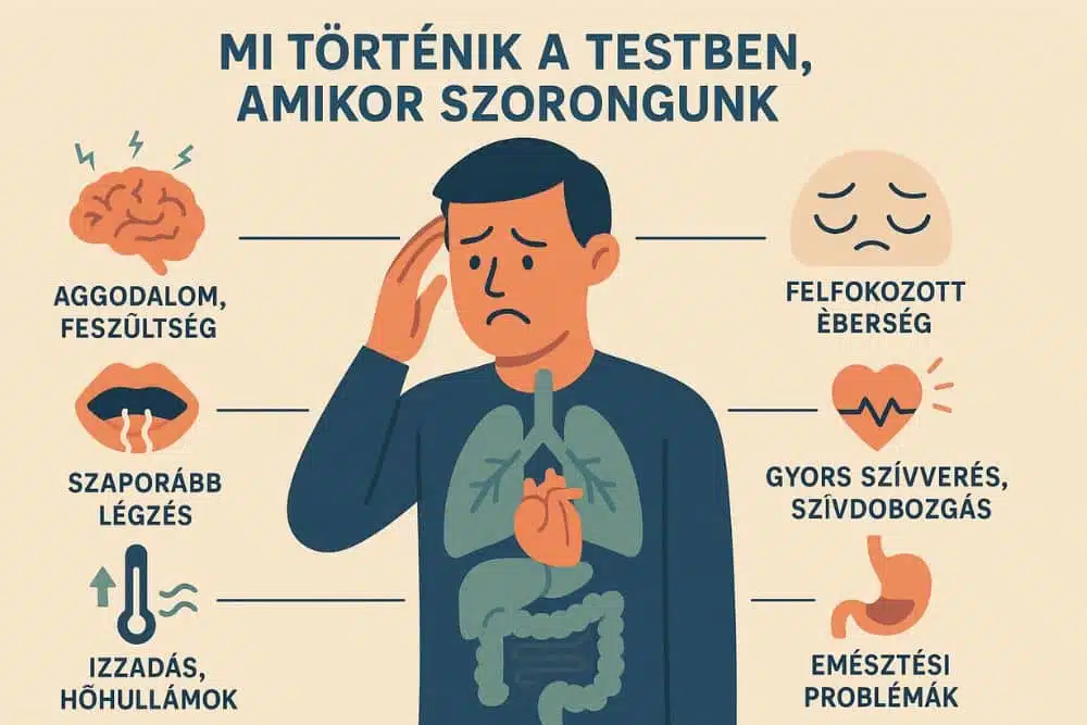 Mi t&ouml;rt&eacute;ni a testben, amikor szorongunk? Ez&eacute;rt kell tenni a szorong&aacute;s ellen!