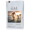 GAL Multivitamin -3x90 adag (C-vitamin, Hirdofil, Lipofil) - zacskósak