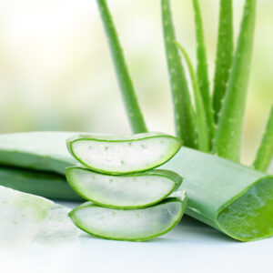 Aloe vera