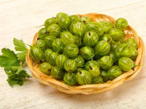 amla