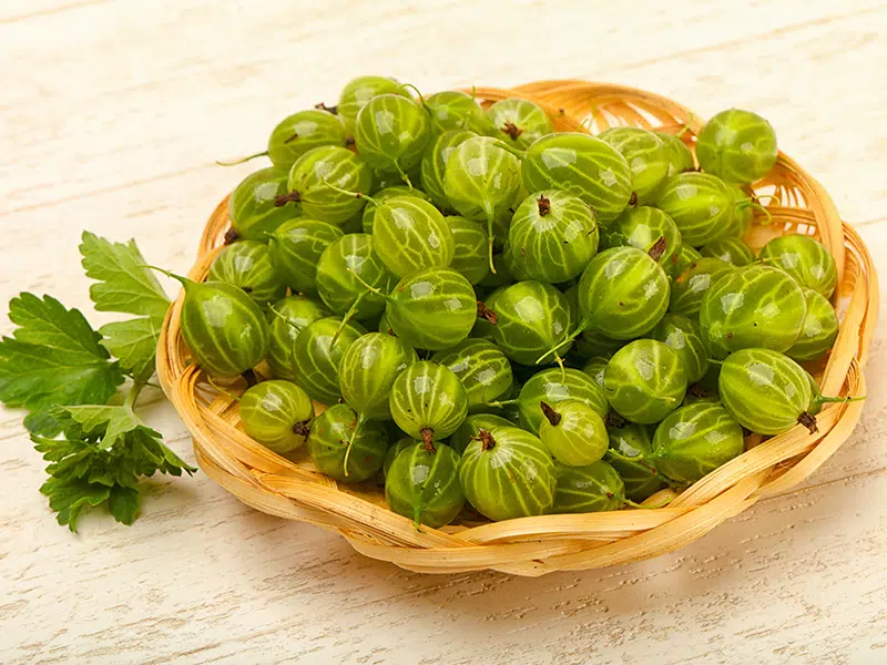 Miért érdemes beépíteni az amlát a napi rutinba 1 amla