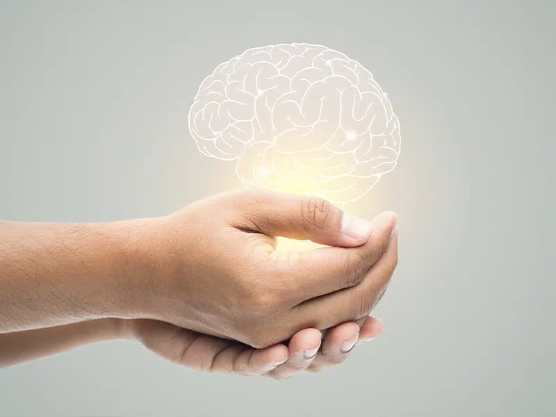 B-vitamin család: így támogatja szervezetünk energiaháztartását és idegműködését 1 b