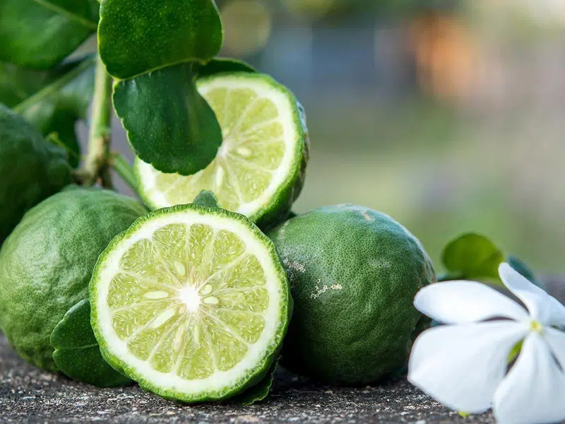 Citrusos segítség a mindennapi egyensúlyért 1 bergamott 2