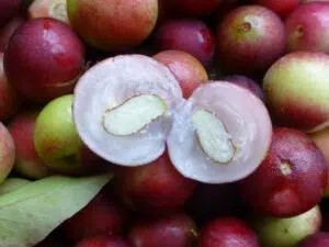 camu