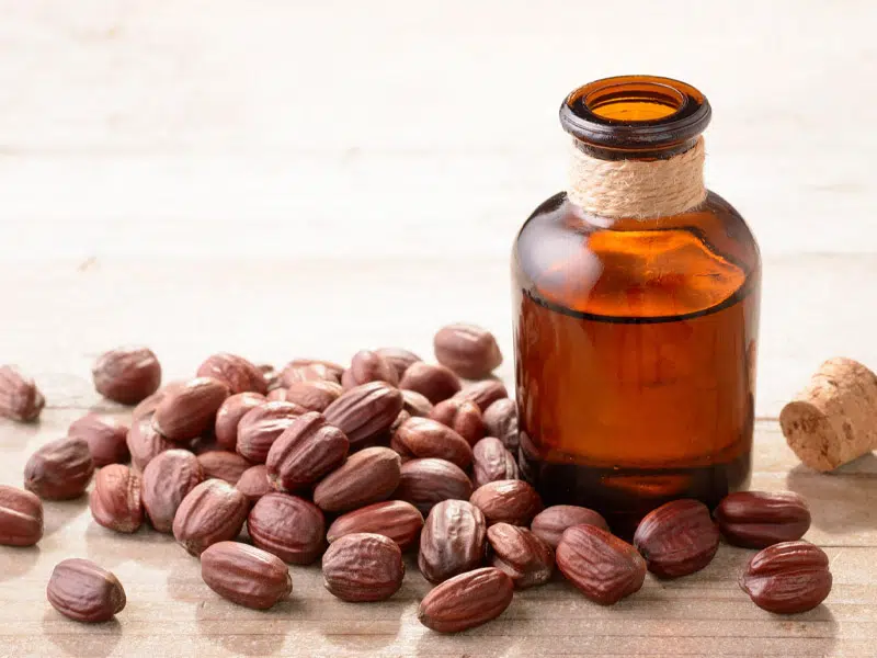 Sivatagi kincs a bőrápolásban: miért szeretik ennyire a jojobaolajat? 1 jojoba