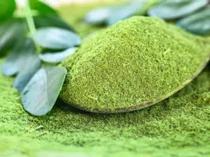 moringa 1