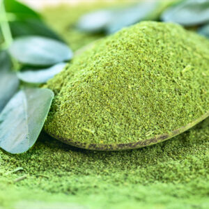 moringa 1